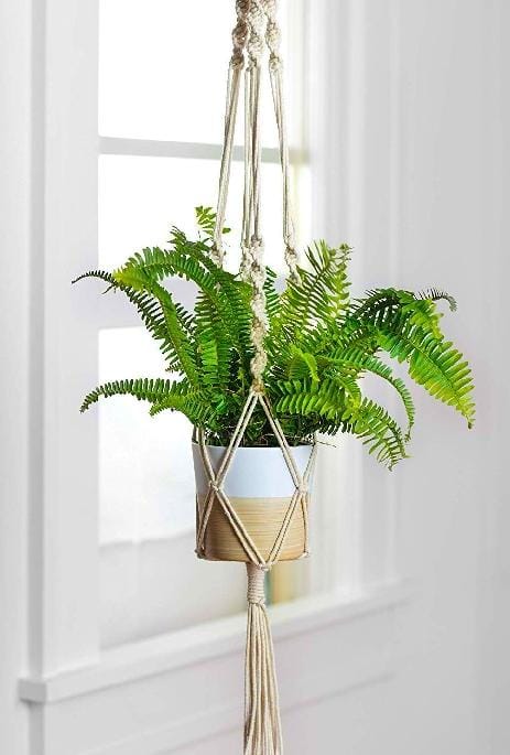 Stylish Rope Plant Hanging Macrame