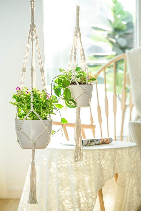 Stylish Rope Plant Hanging Macrame