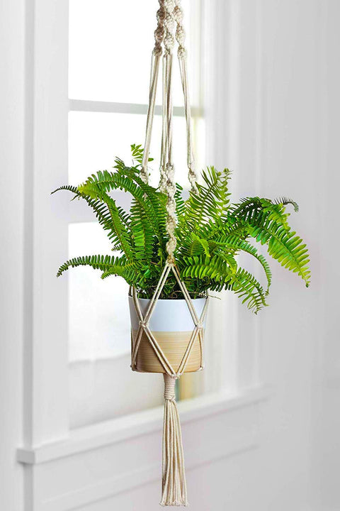 Stylish Rope Plant Hanging Macrame